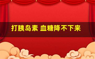 打胰岛素 血糖降不下来